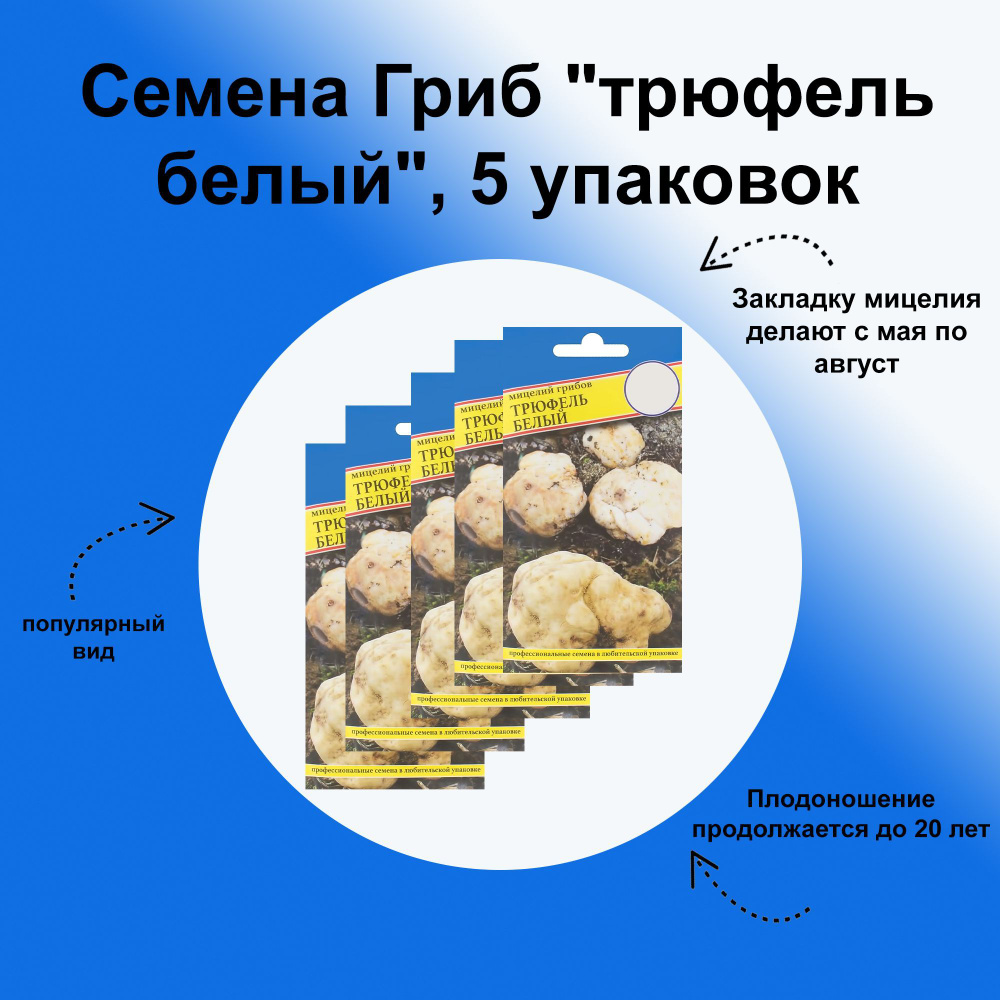 Семена Гриб "трюфель белый", 5 упаковок: популярный вид, который может появиться и в вашем саду. Первыми #1