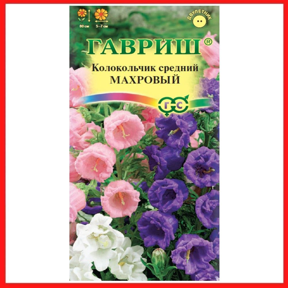 Семена Колокольчик средний "Махровый" 0,05 гр, двулетние цветы для дома, дачи и сада , клумбы, растения #1