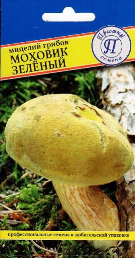 Моховик зелёный (мицелий грибов). Относится к съедобным грибам, обычно используется свежеприготовленным #1