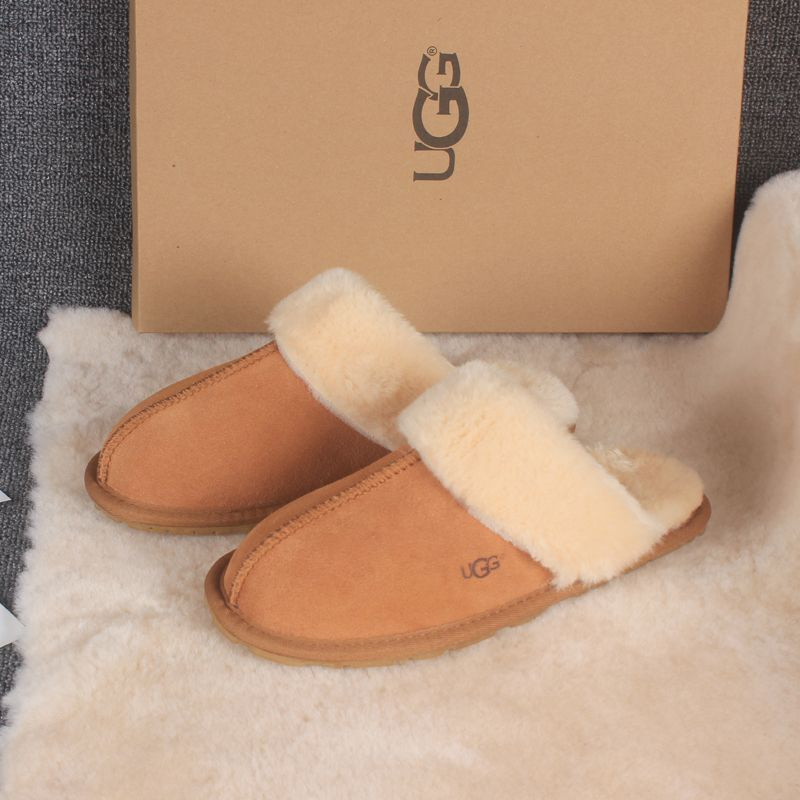 Тапочки UGG #1