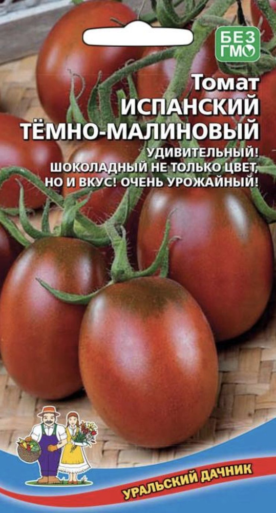 Томат ИСПАНСКИЙ ТЕМНО-МАЛИНОВЫЙ, 1 пакет, семена 20 шт, Уральский Дачник, шоколадный цвет  #1