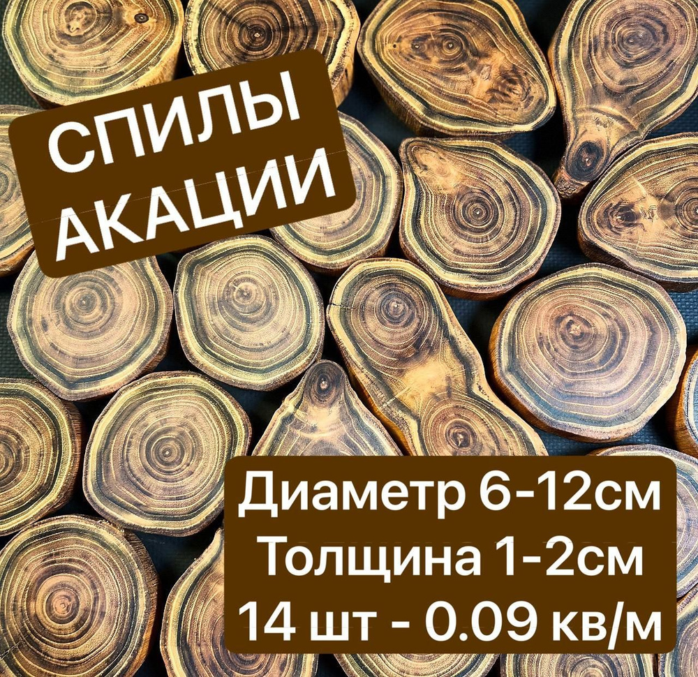 Спилы дерева Акация 6-12см 14шт #1