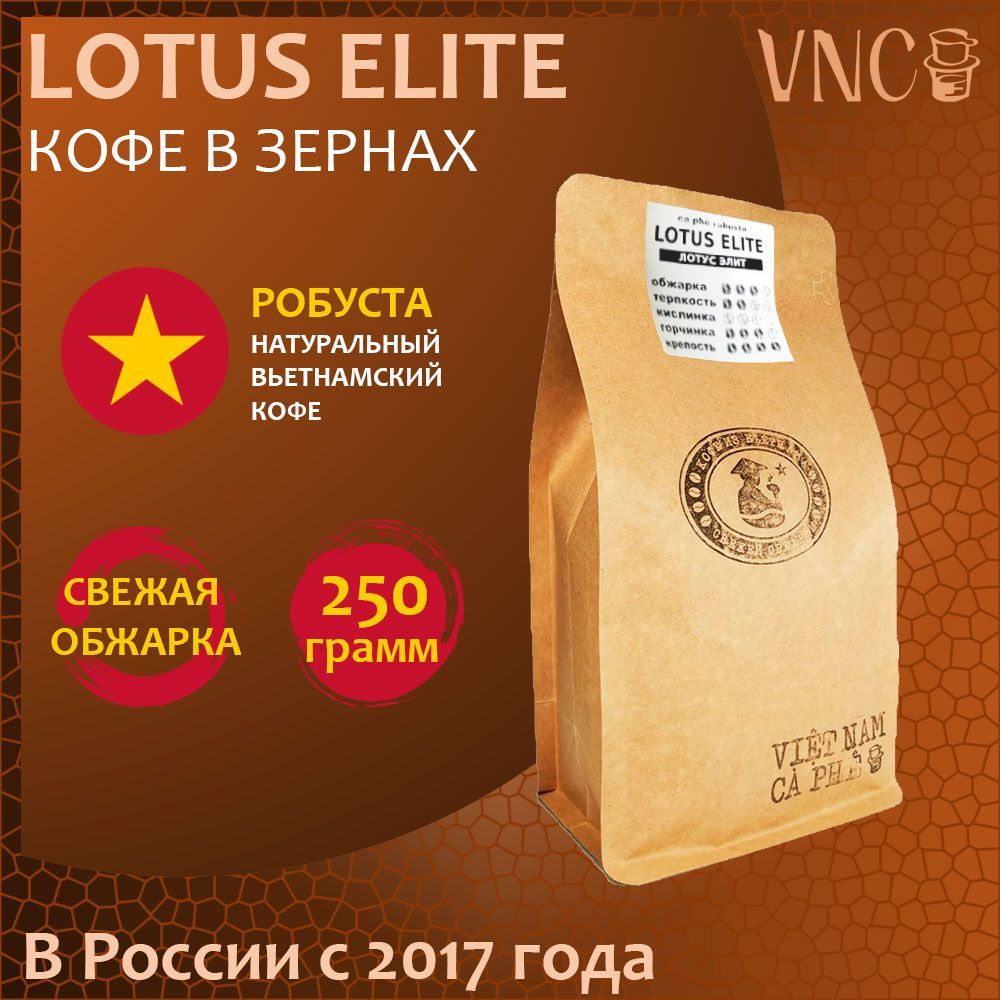 Кофе в зернах Lotus Elite VNC, 250 г, свежая обжарка, премиальная робуста из Вьетнама  #1