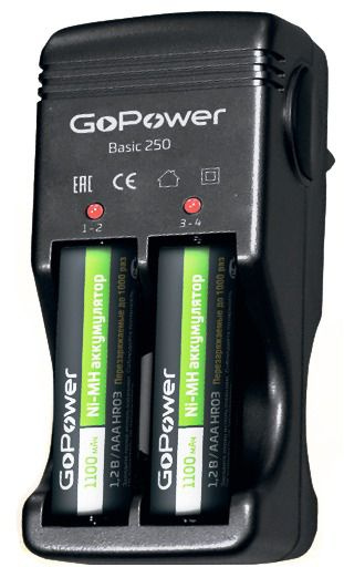 GoPower Зарядное устройство для аккумуляторных батареек 00-00015345, черный  #1