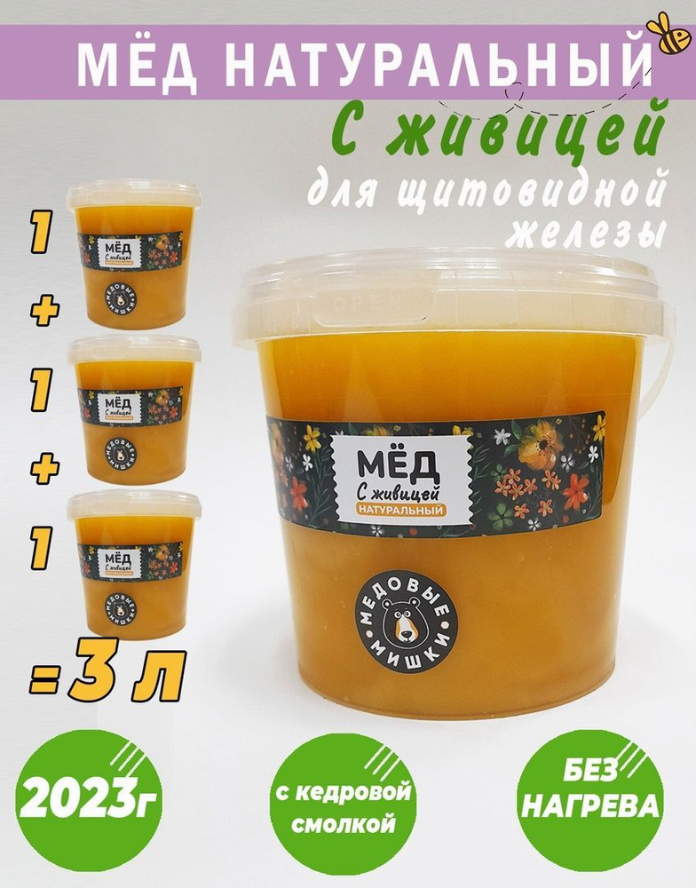 Мёд натуральный с ЖИВИЦЕЙ 3 литра (4,2) кг #1