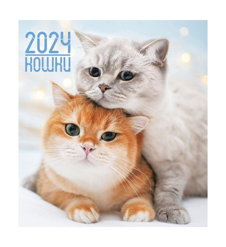 Перекидной календарь 2024 24х24. Кошки #1