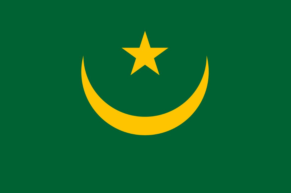Двусторонний флаг Мавритании 40х60 см на лодку, катер или яхту с люверсами  #1