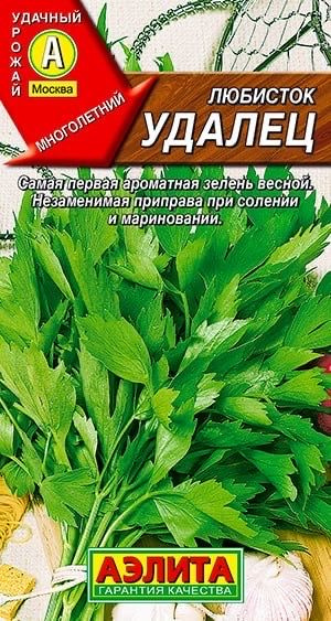 ЛЮБИСТОК Удалец. Семена. Вес 0,3 гр. Многолетняя культура. Аэлита  #1