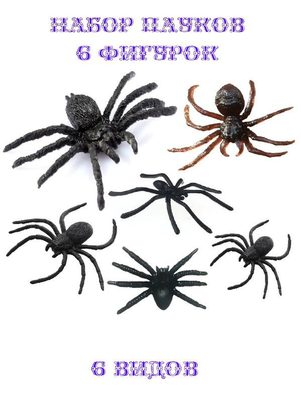 Набор 6 фигурок Пауков черные + коричневые ассорти 6 видов  #1
