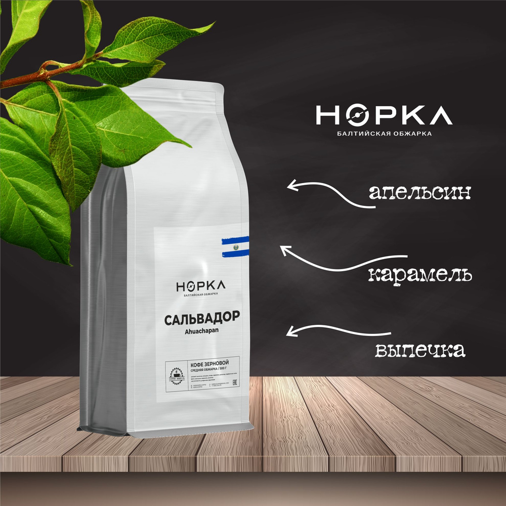 Кофе в зернах Эль Сальвадор SHG Auchapan 100% Арабика свежая обжарка от НОРКА Кофе (Norka Coffee) 0,5 #1