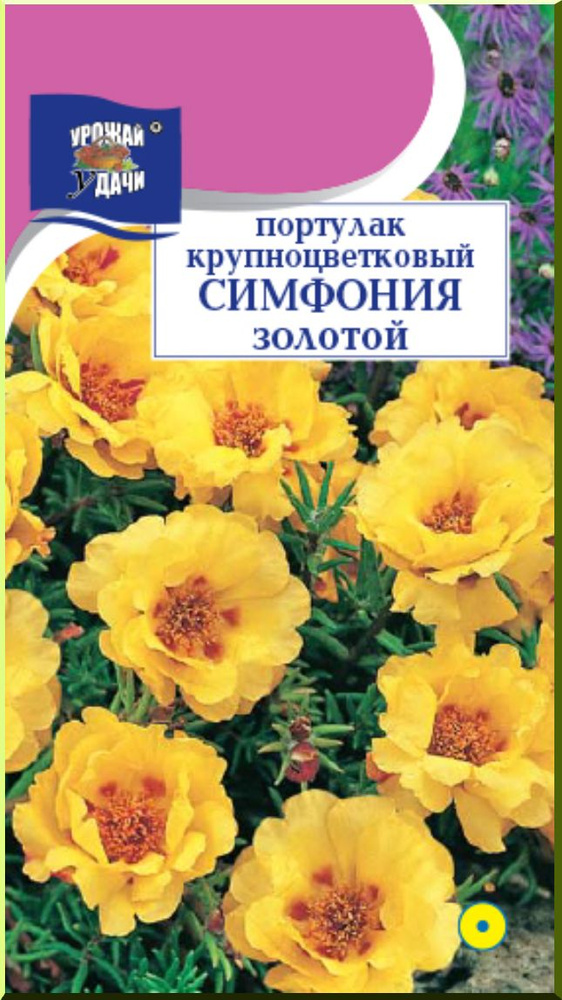 Портулак крупноцветковый СИМФОНИЯ ЗОЛОТОЙ (Семена УРОЖАЙ УДАЧИ, 0,05 г семян в упаковке)  #1