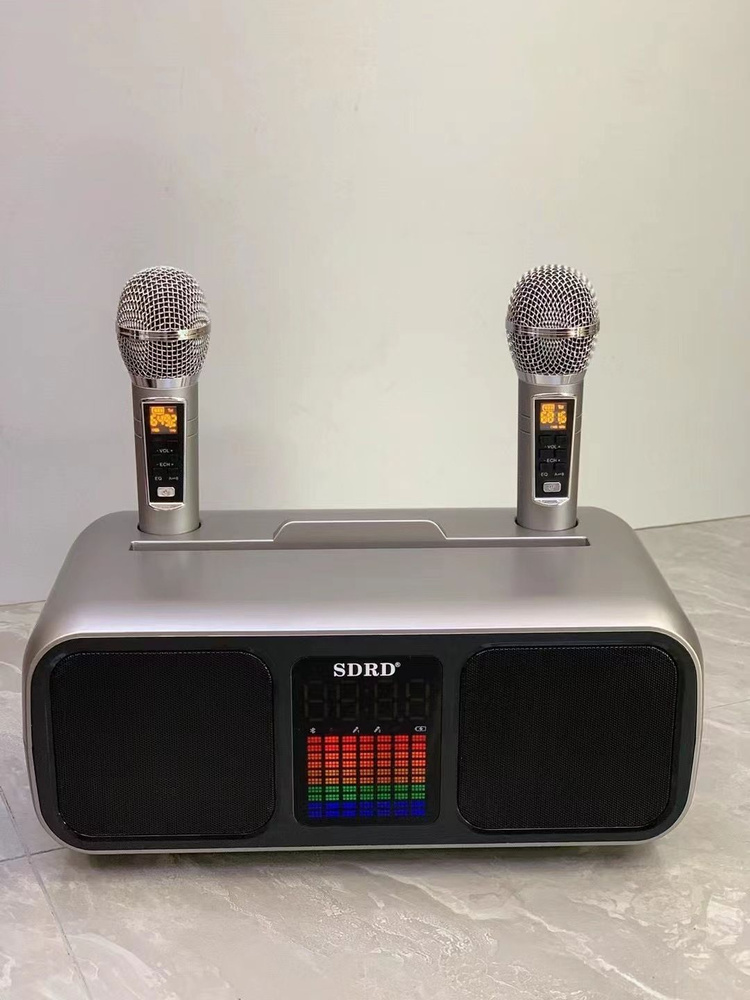 Караоке система для дома SDRD SD-318 серая портативная с двумя беспроводными микрофонами для взрослых #1