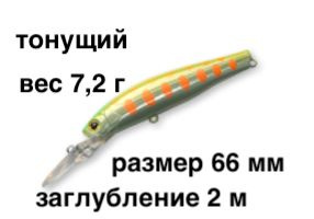 Тонущий воблер заглубление до 2,0 м (Minnow) вес 7,2г. Skagit Designs Solid Tail Deep 66 S CHYM (Япония) #1