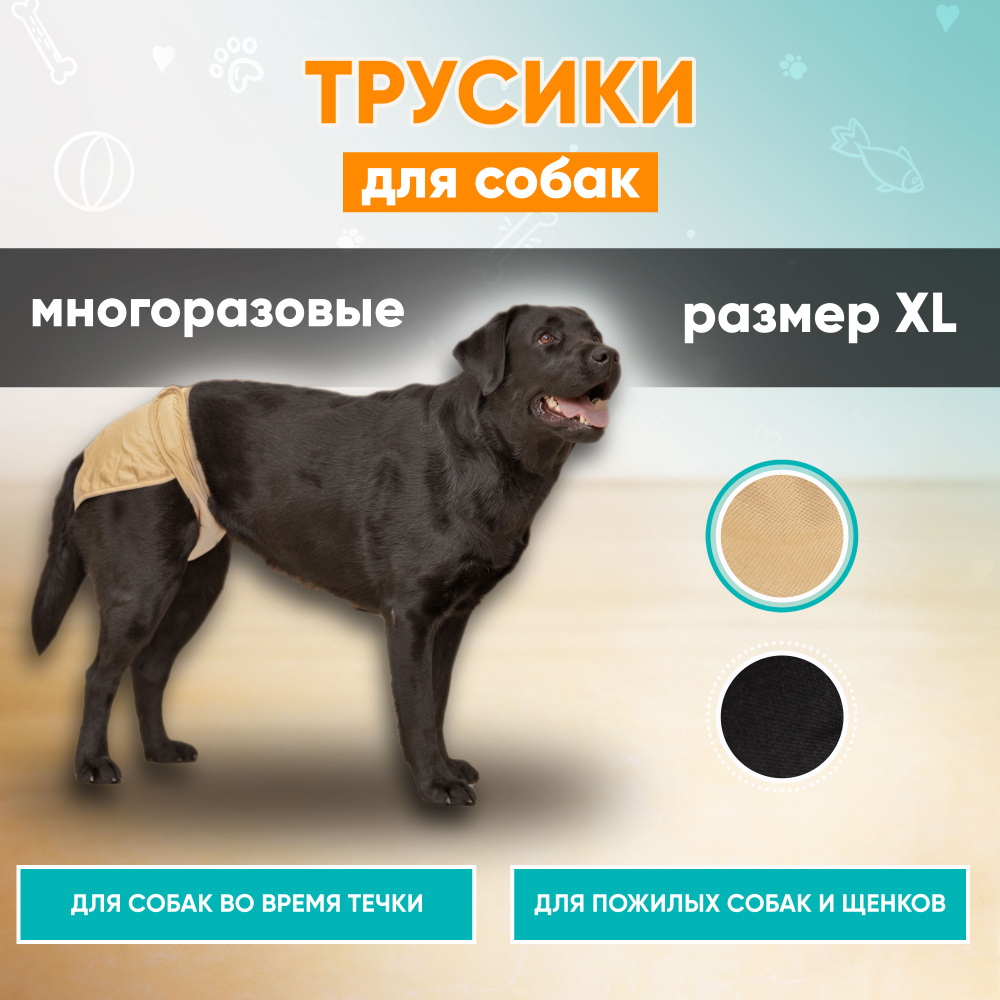 Трусы для собак многоразовые во время течки, подгузник для собак Mr Dog для девочек XL  #1