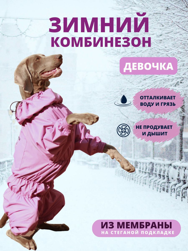 Комбинезон зимний для собак средних пород SNOW, 35ж (сука), орхидея, L  #1