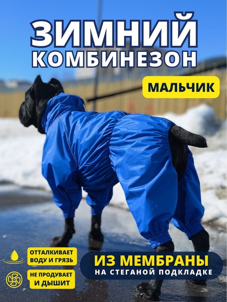 Комбинезон зимний для собак крупных пород SNOW, 70м (кобель), синий, 7XL  #1