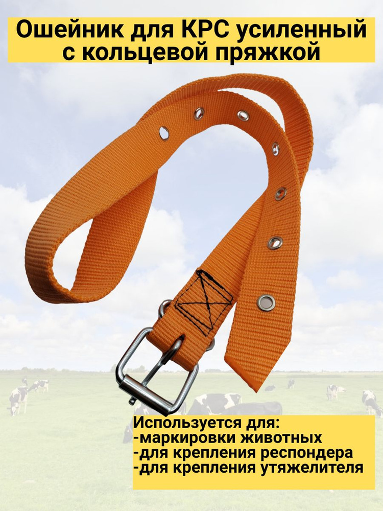 Ошейник для КРС усиленный кольцевая пряжка - купить с доставкой по ...