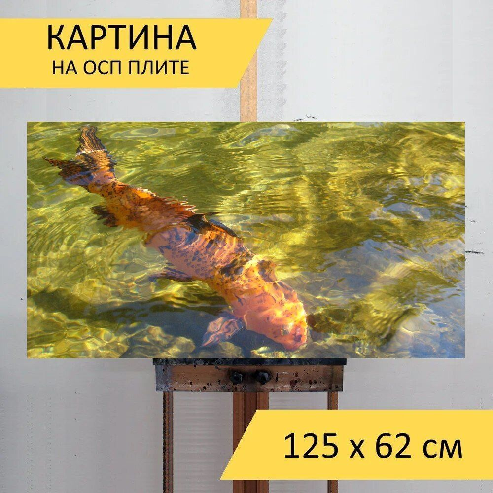 LotsPrints Картина "Рыбы, прозрачная вода, вода 65", 125  х 62 см #1