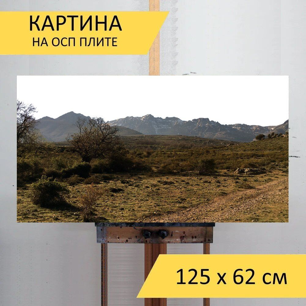 LotsPrints Картина "Пустыня, луг, горы 12", 125  х 62 см #1