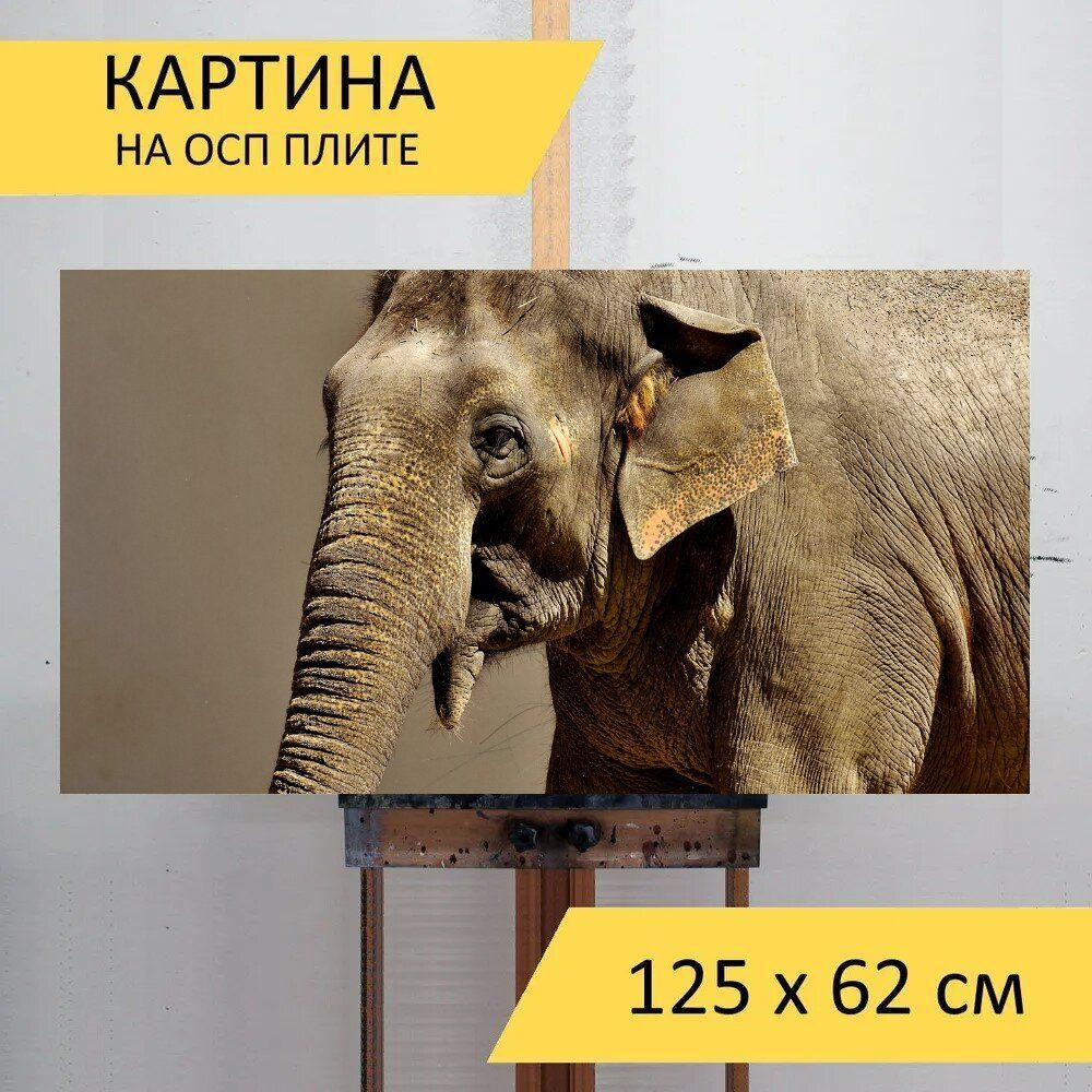 LotsPrints Картина "Слон, толстокожий, животное 55", 125  х 62 см #1
