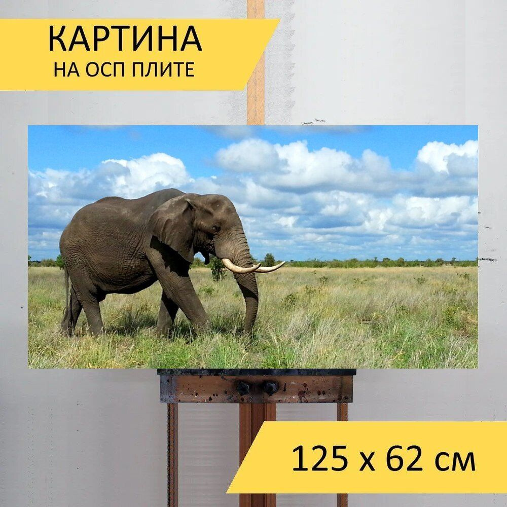 LotsPrints Картина "Слон, национальный парк крюгера, южная африка 15", 125 х 62 см  #1