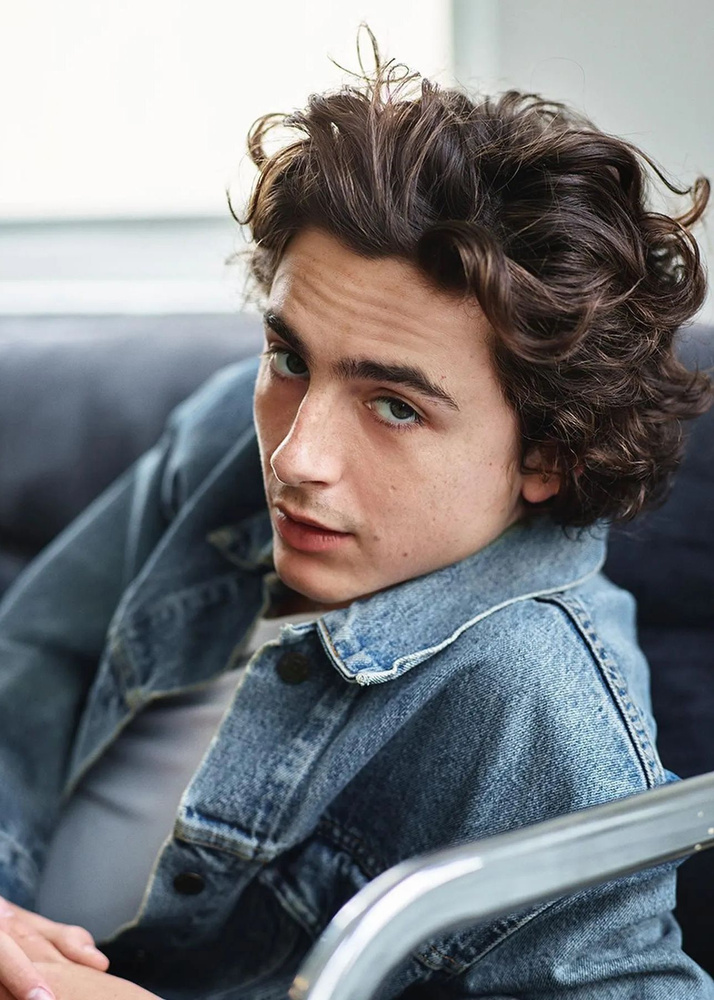 Плакат / Постер Тимоти Шаламе Timothee Chalamet А3 (30*42 см) #1