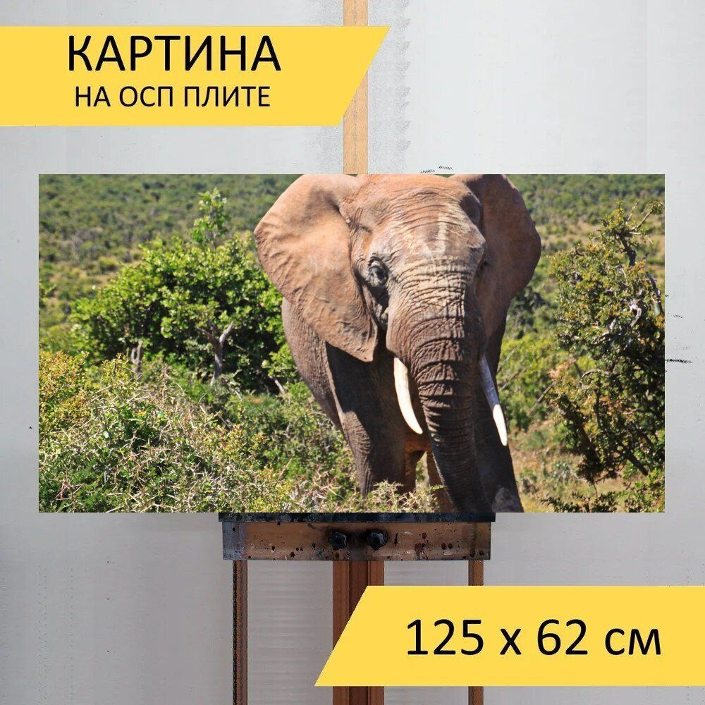 LotsPrints Картина "Слон, животное, саванновый африканский слон 35", 125 х 62 см  #1