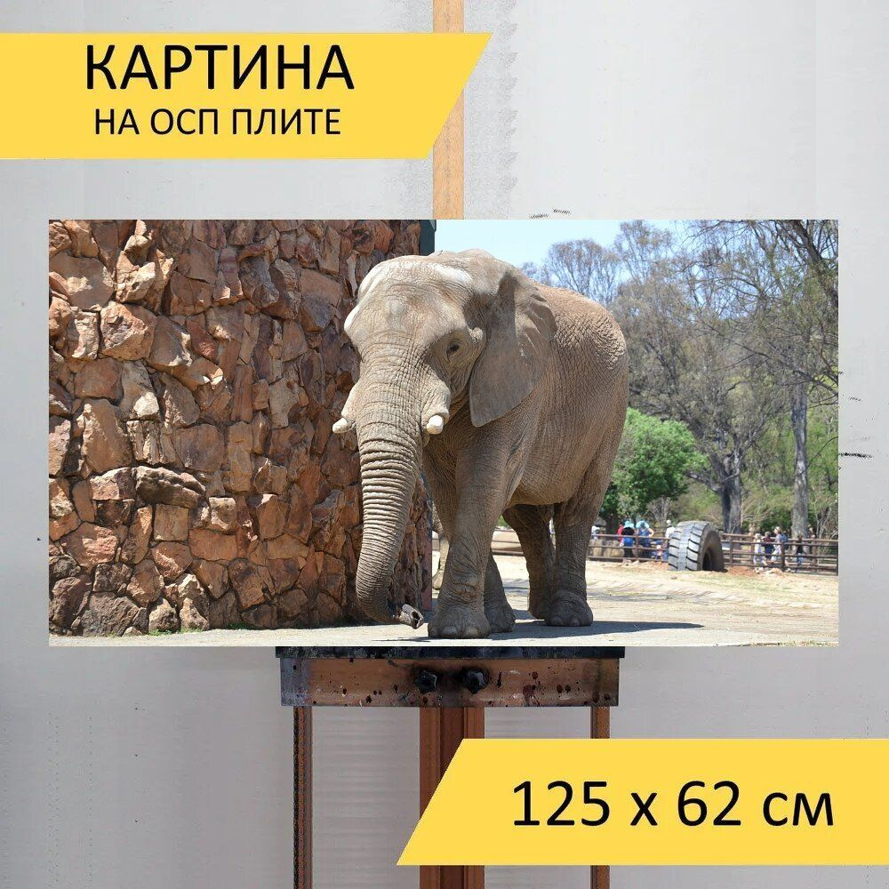 LotsPrints Картина "Слон, зоопарк, животное 59", 125  х 62 см #1