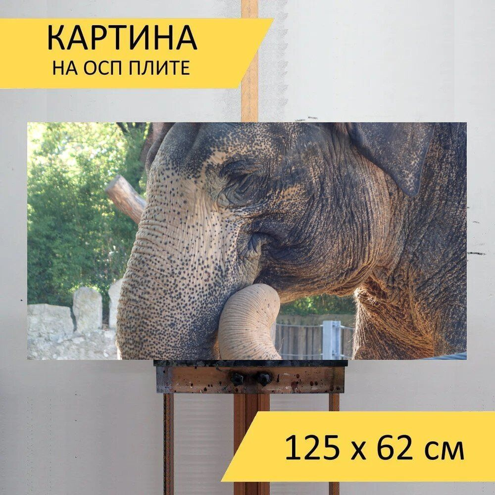 LotsPrints Картина "Слон, вильгельма, штутгарт 88", 125  х 62 см #1