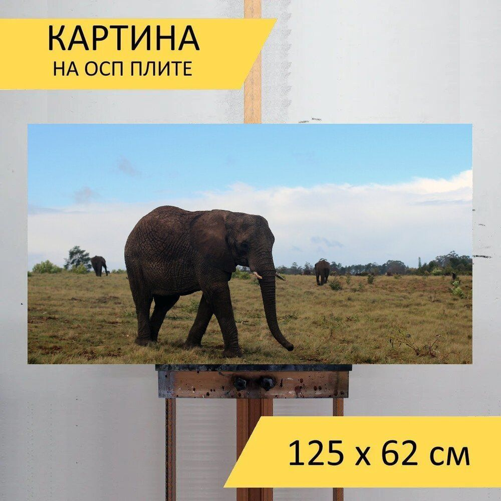 LotsPrints Картина "Слон, толстокожий, африке 26", 125  х 62 см #1