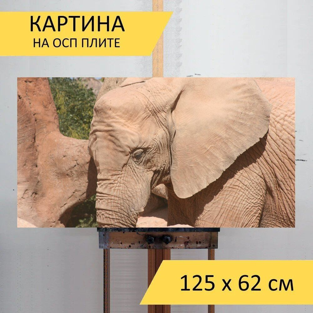 LotsPrints Картина "Слон, зоопарк, валенсия 08", 125  х 62 см #1