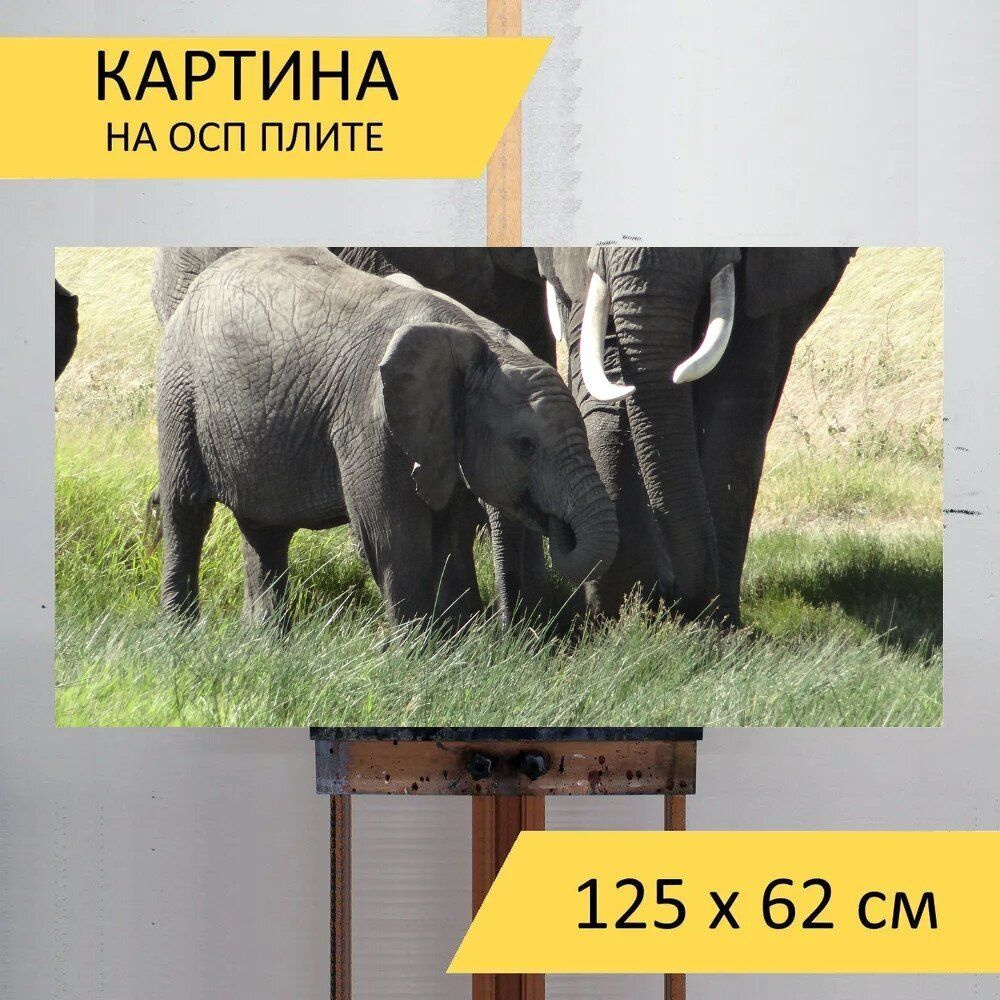 LotsPrints Картина "Слон, мама, трава 80", 125  х 62 см #1