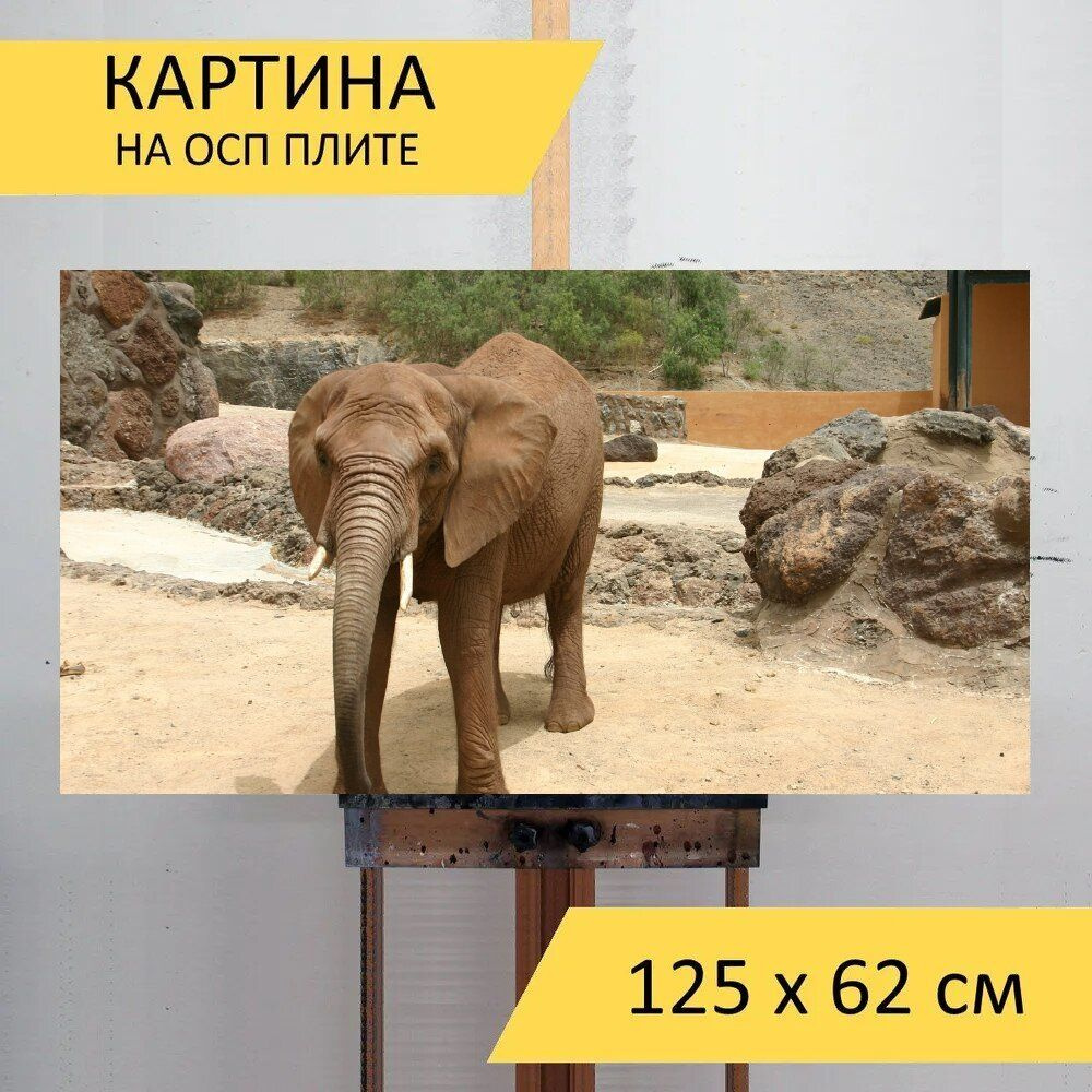 LotsPrints Картина "Слон, животное, толстокожий 01", 125  х 62 см #1