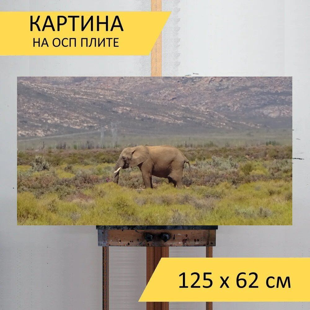 LotsPrints Картина "Слон, толстокожий, фауна 99", 125  х 62 см #1