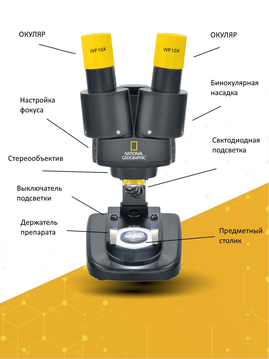 Текстовое описание изображения