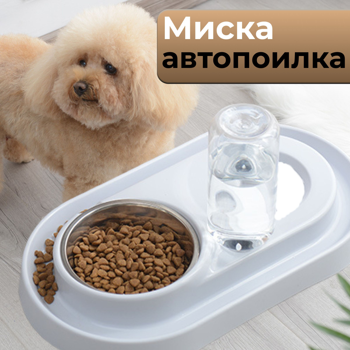 Миска для собак мелких пород