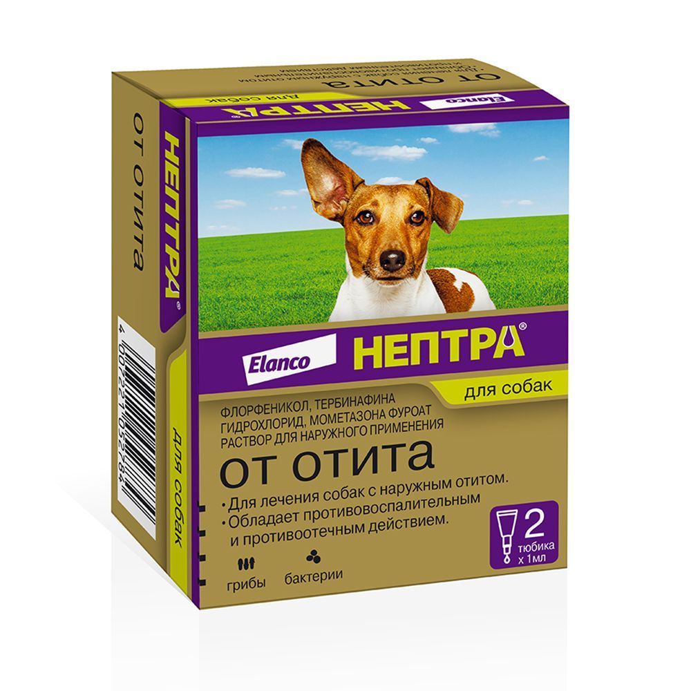 Нептра