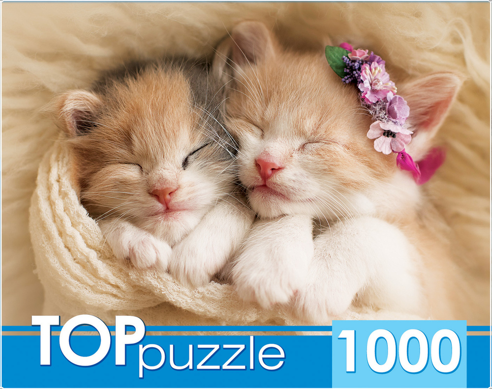 Пазл Рыжий кот TOPpuzzle "Два спящих котенка" 1000 элементов. Подарок другу, девушке, ребенку на день #1