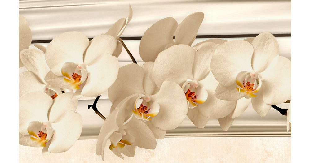 Кухонный фартук"Белые орхидеи 3177" 1000*600мм, АБС пластик, фотопечать  #1