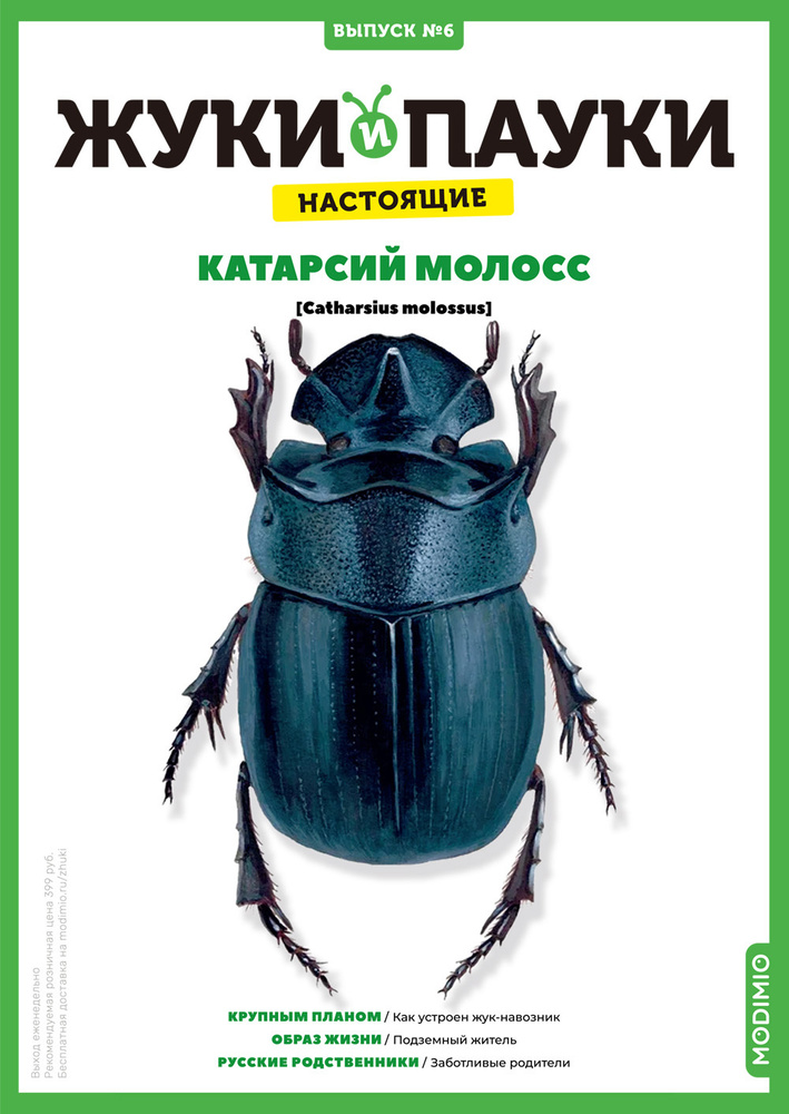 Жуки и пауки, Выпуск №6, Катарсий молосс #1