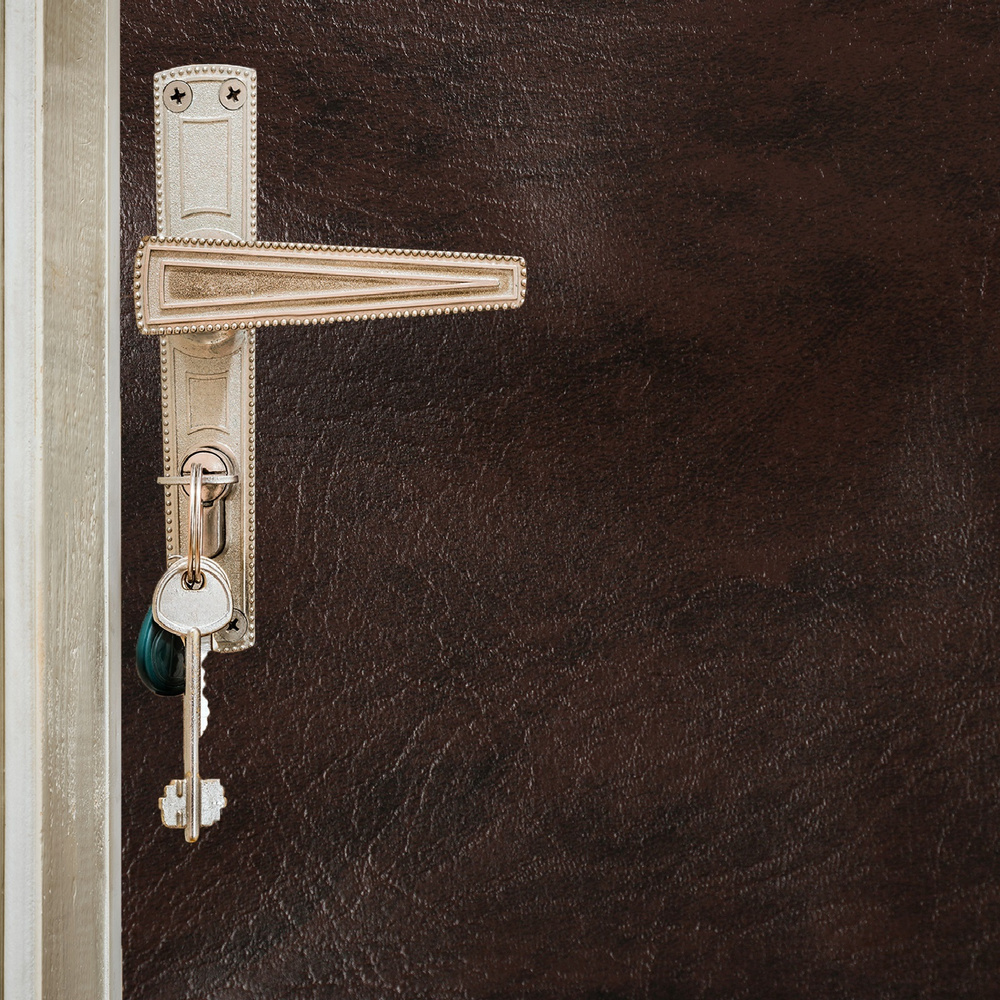 Комплект для обивки дверей 110 x 205 см: иск.кожа, поролон 3 мм, гвозди, коричневый, "Эконом"  #1