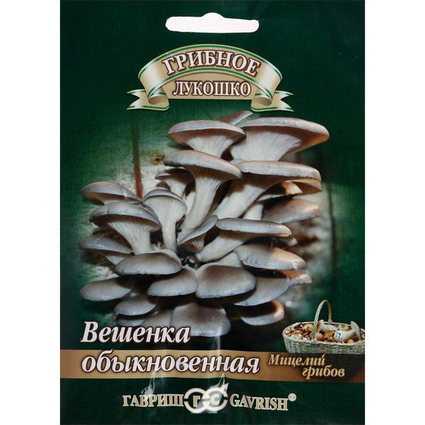 Мицелий Грибы Вешенка Обыкновенная на древесной палочке , 12 шт (палочек) (Гавриш)  #1