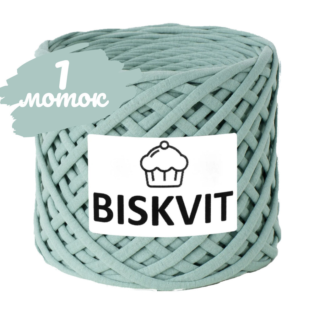 Трикотажная пряжа Biskvit мятное суфле, 100м., лицевая (бисквит)  #1