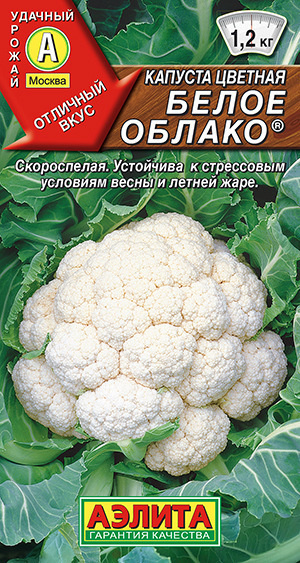 Капуста цветная Белое облако, скороспелая, устойчива к жаре  #1