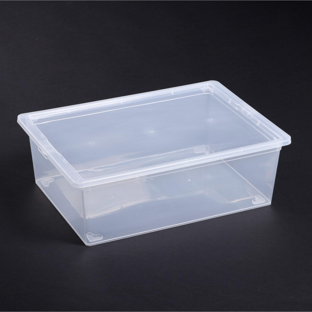 Ящик для хранения с крышкой, 25 л, 53х37х18 см, цвет прозрачный  #1