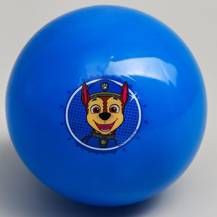 Мяч детский Paw Patrol "Гончик", 16 см, 50 гр, в ассортименте, 1 шт.  #1