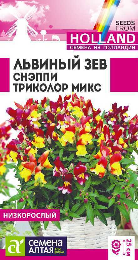 Семена Львиный зев Снэппи Триколор Микс (10 семян) - Семена Алтая  #1