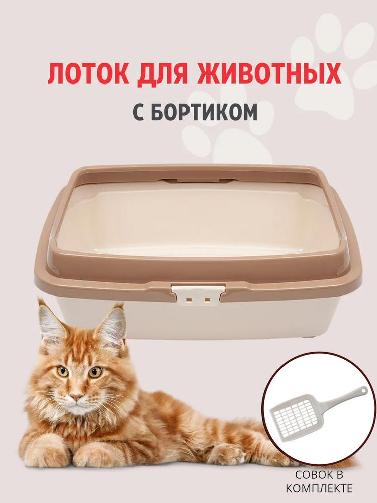 Туалет для кошек большой с бортом DD Style, кошачий туалет, лоток для кошек с совком, молочный  #1