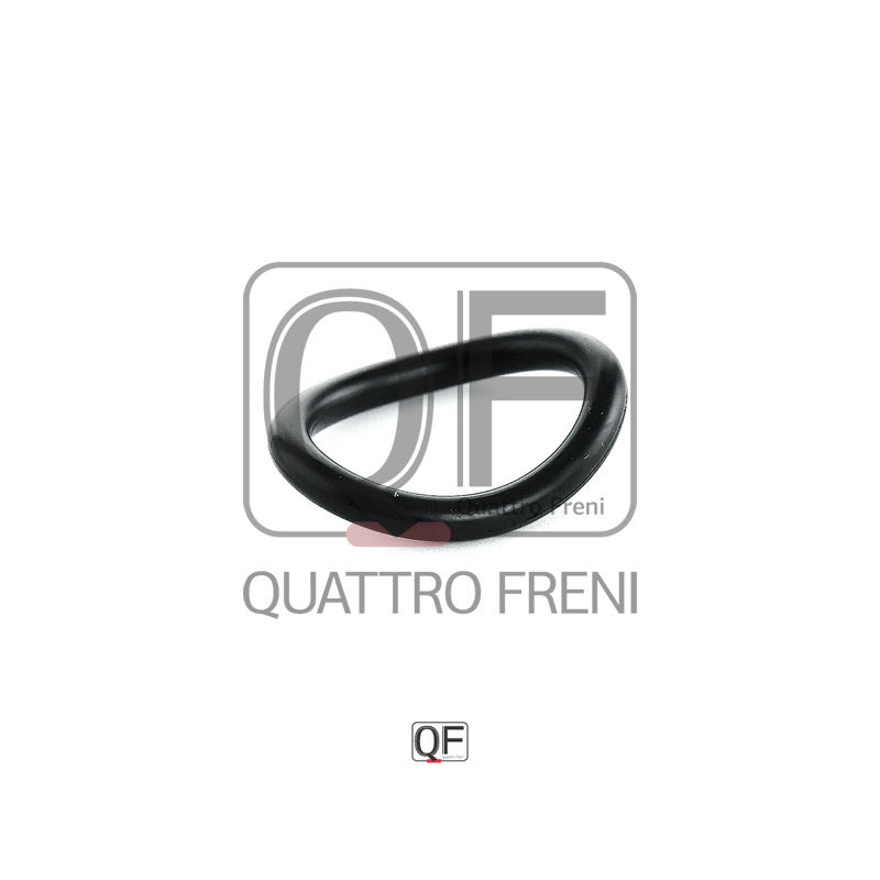 Кольцо уплотнительное - Quattro Freni арт. QF53A00001 #1