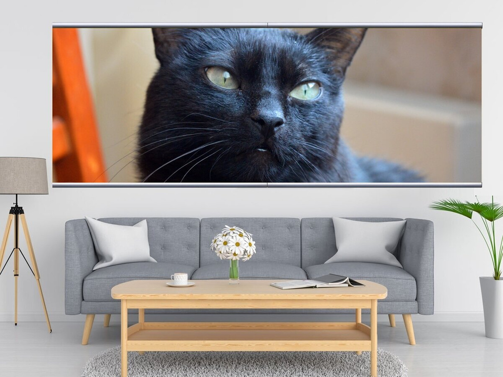Картина на холсте Кот, домашний, кот смотрит 240x90 см. с алюминиевыми  подвесами, в тубусе - купить по низкой цене в интернет-магазине OZON  (561603427)